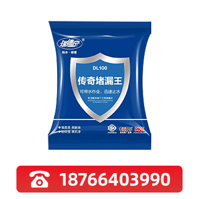 河池传奇堵漏王